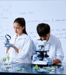 Social Science Activites
